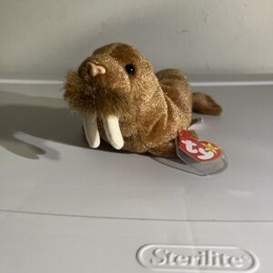 TY Beanie Baby - PAUL the Walrus (7 inch) - MWMT's Stuffed Animal Toy